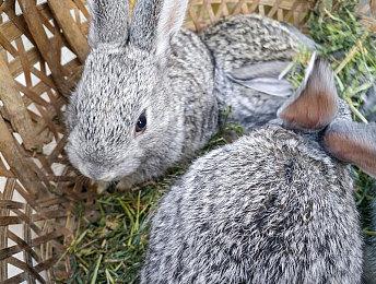 微软称索尼仍在反对动视暴雪收购案：很惊讶很失望